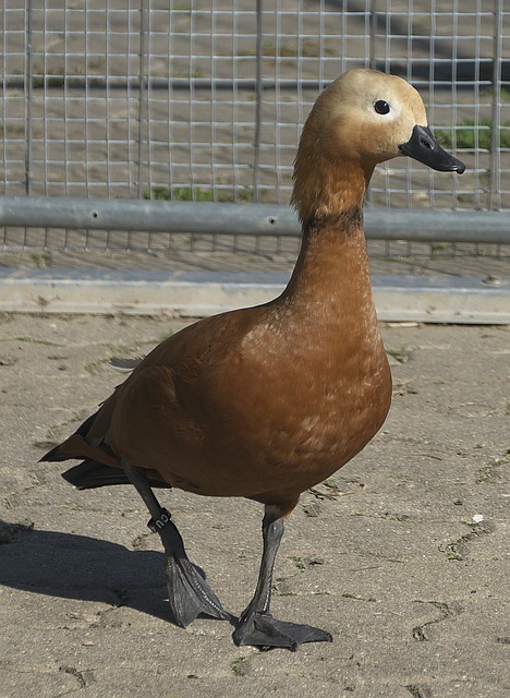 个人表现