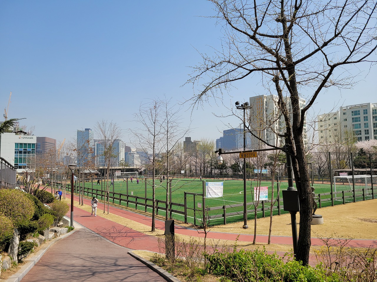 强劲实力 强劲实力
