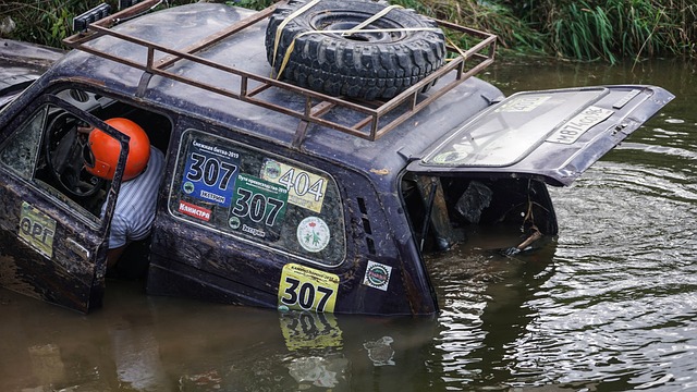仅展示了他 仅展示了他