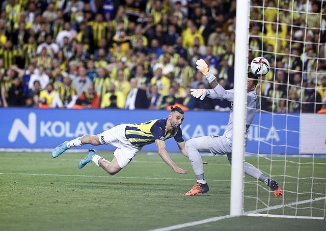 手的成败 手的成败