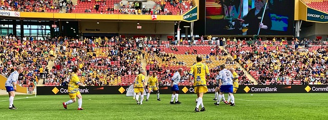 企业参与体 企业参与体